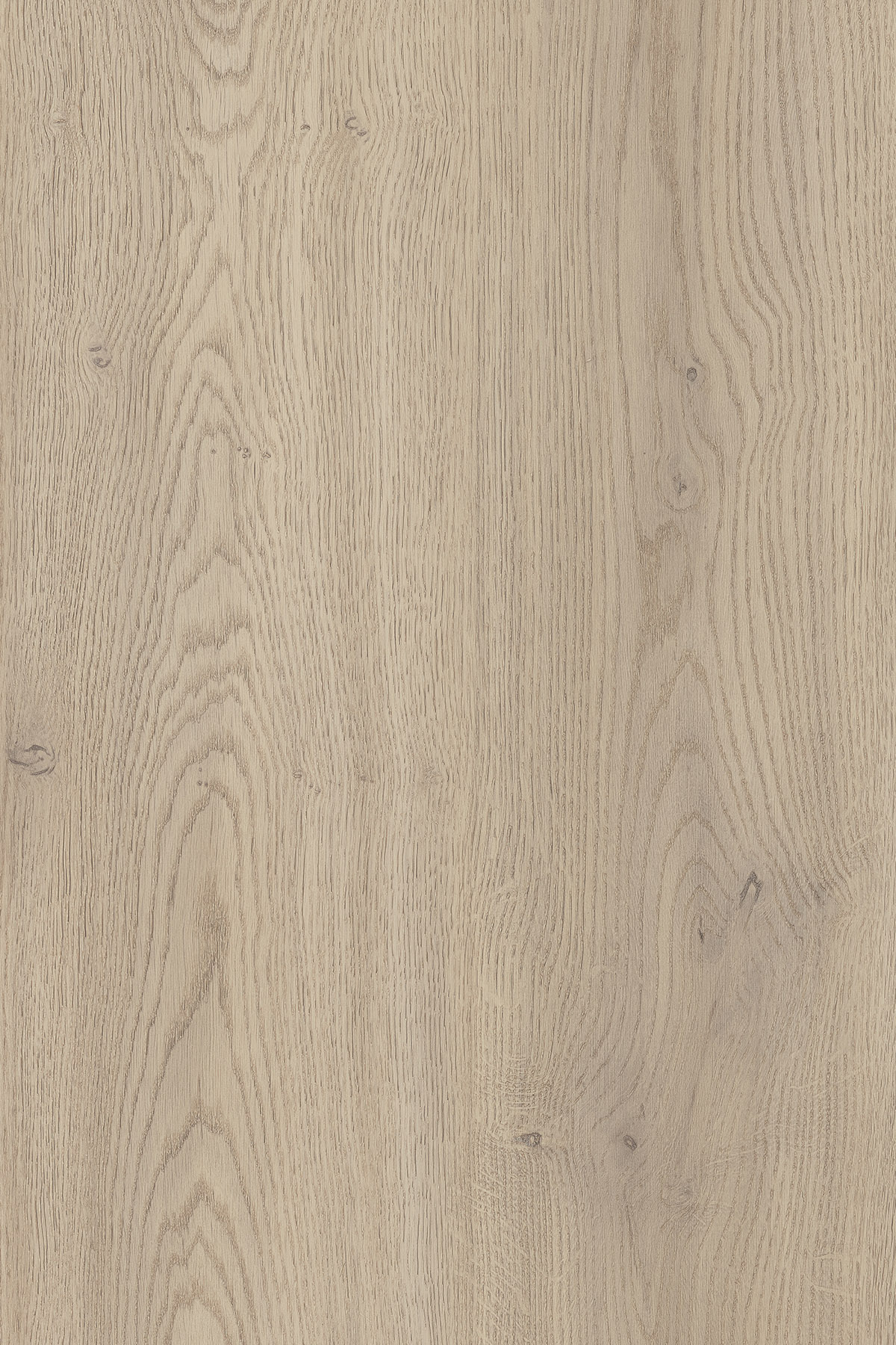 Cremona Oak