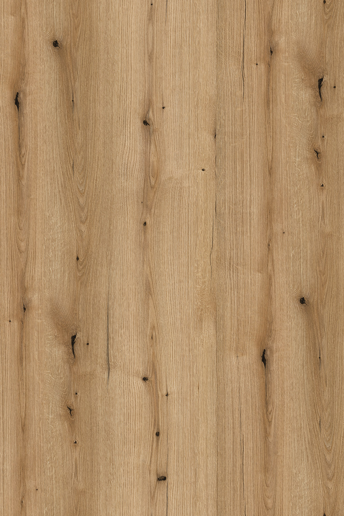 Evoke Oak